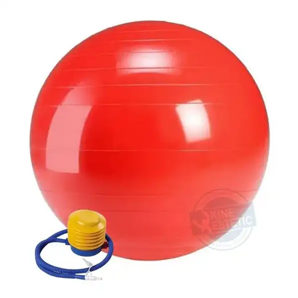 PELOTA DE ESFERODINAMIA ANTIDESLIZANTE 'CON INFLADOR'